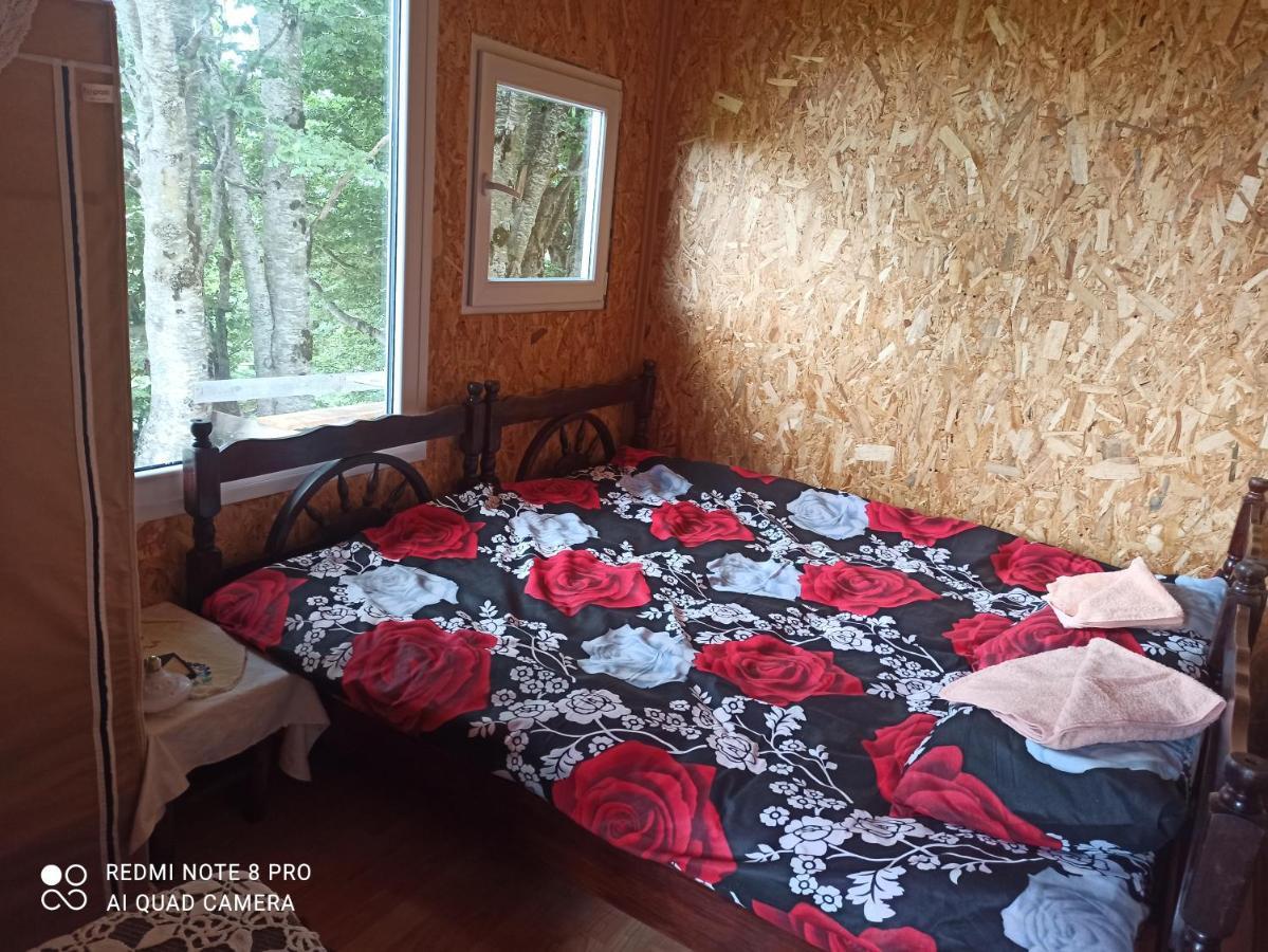 Katun Ljeljenak Otel Plužine Dış mekan fotoğraf