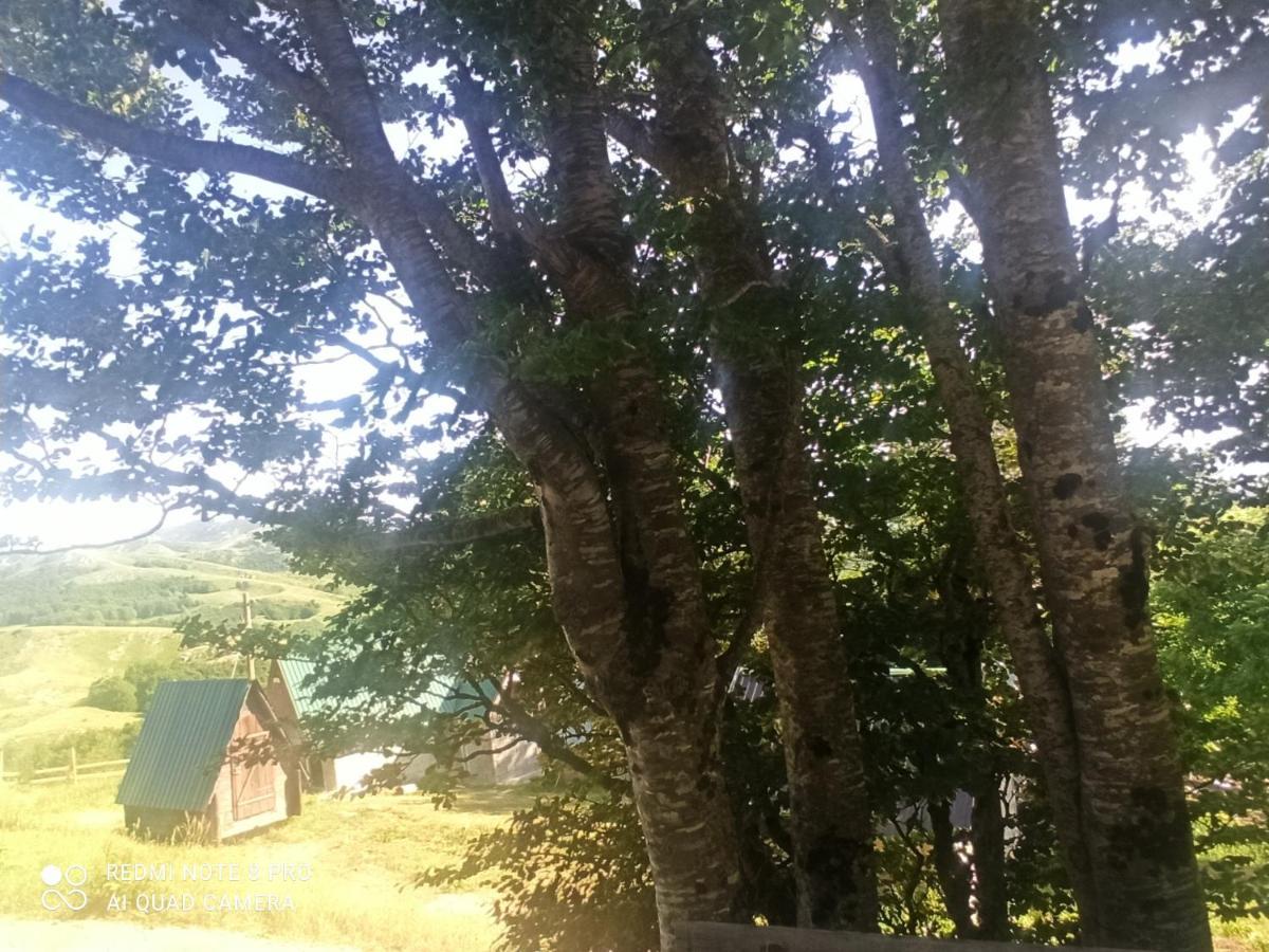 Katun Ljeljenak Otel Plužine Dış mekan fotoğraf