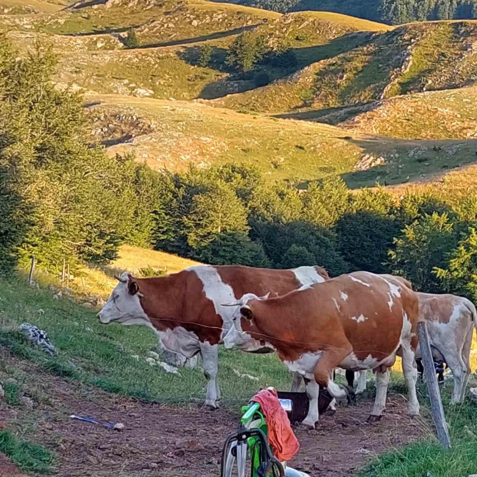 Katun Ljeljenak Otel Plužine Dış mekan fotoğraf