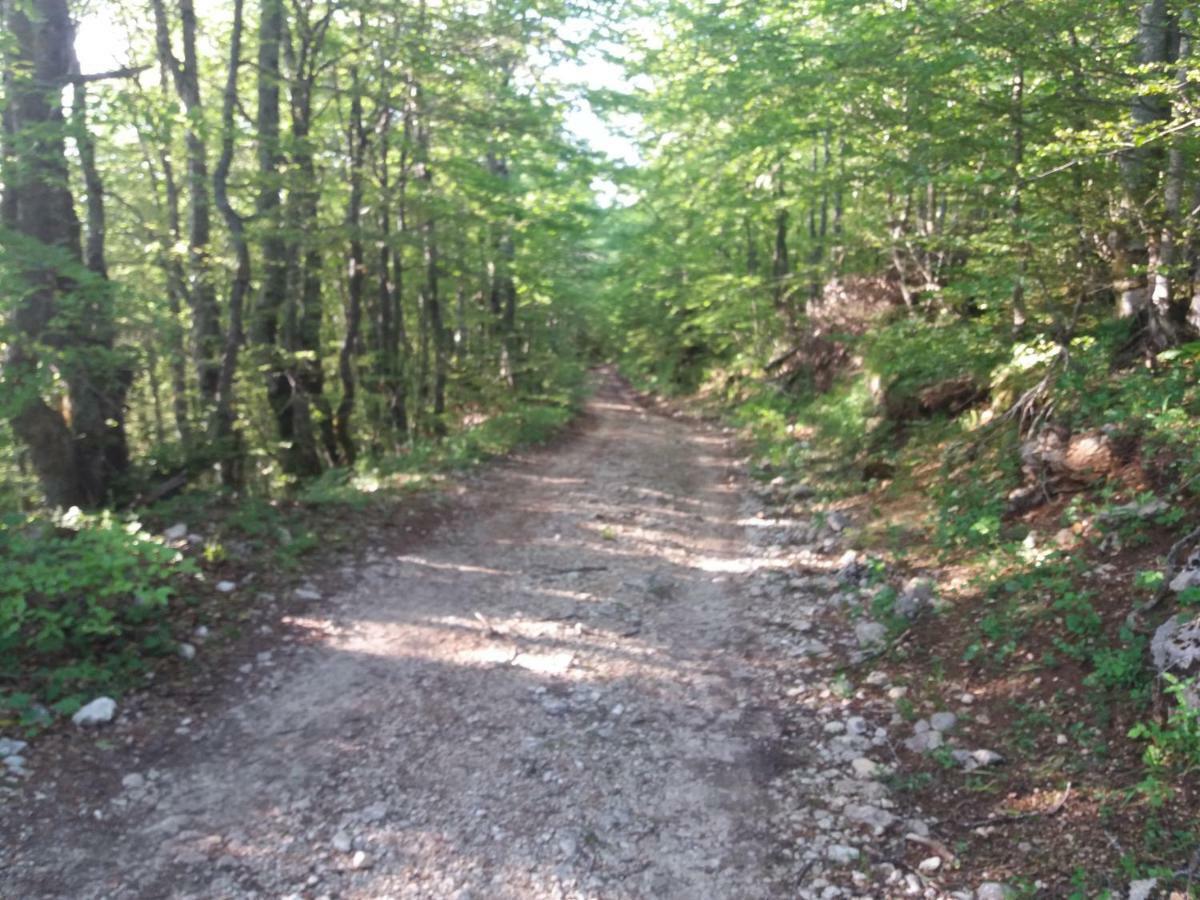 Katun Ljeljenak Otel Plužine Dış mekan fotoğraf