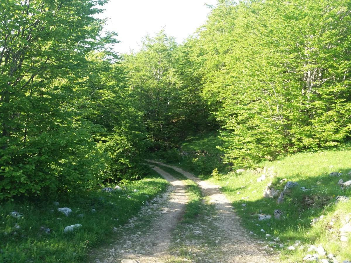 Katun Ljeljenak Otel Plužine Dış mekan fotoğraf