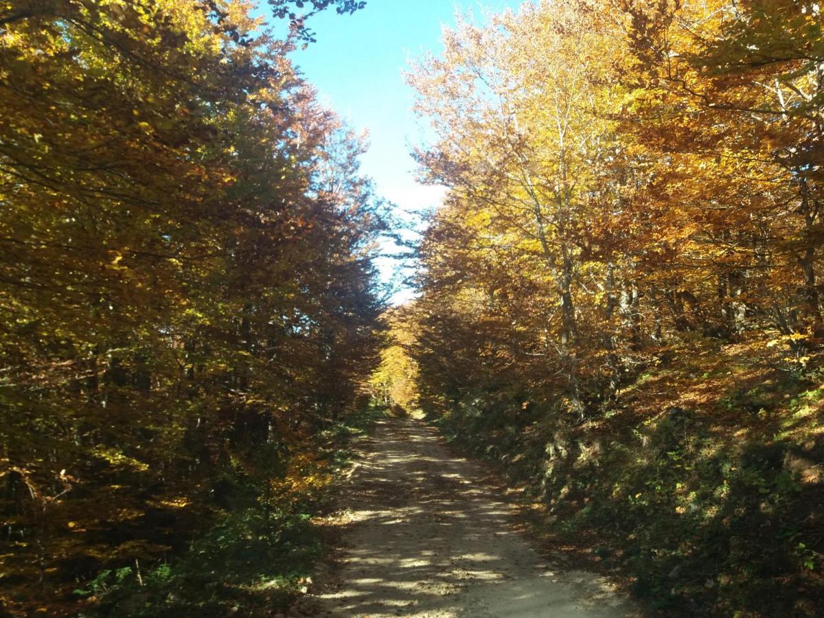 Katun Ljeljenak Otel Plužine Dış mekan fotoğraf