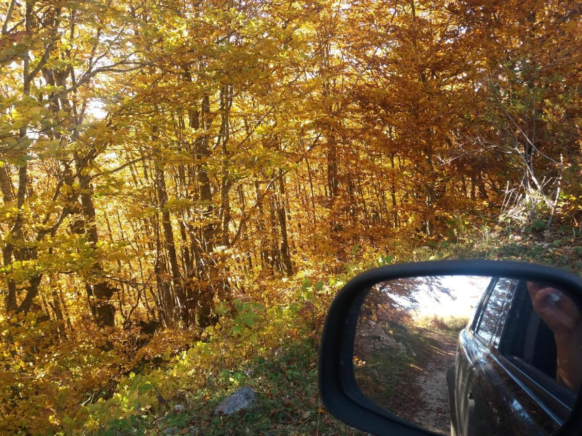 Katun Ljeljenak Otel Plužine Dış mekan fotoğraf