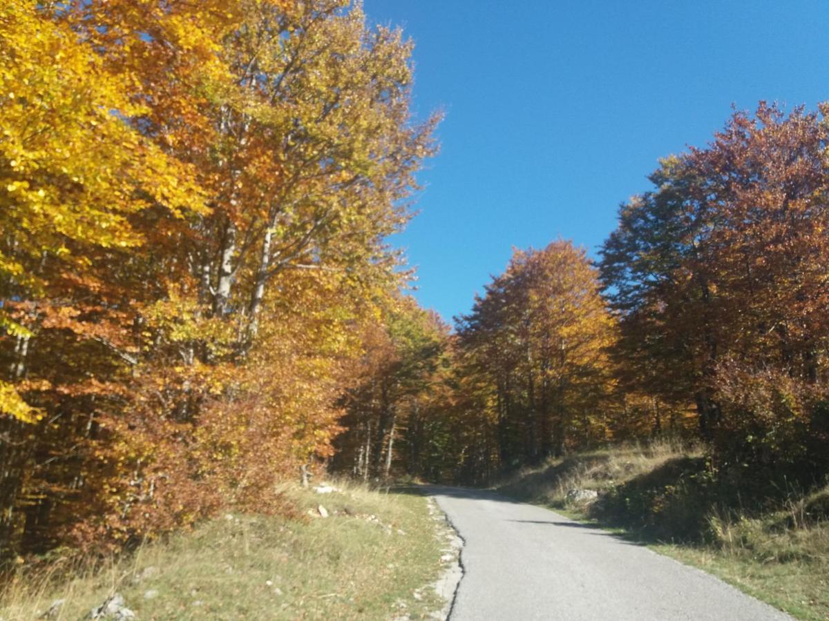 Katun Ljeljenak Otel Plužine Dış mekan fotoğraf